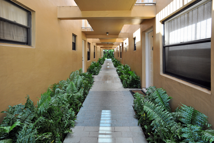 Corridor to enter the apartments with vegetation on the sides